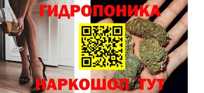 гашик Гусиноозёрск